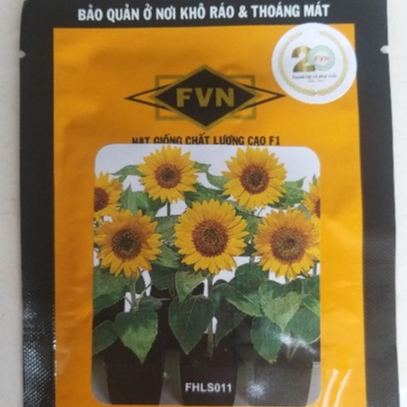 Hoa hướng dương lùn Helianthus FVN gói 50 hạt
