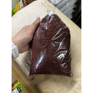 Hạt điều màu / Hạt cari (gói 1kg)