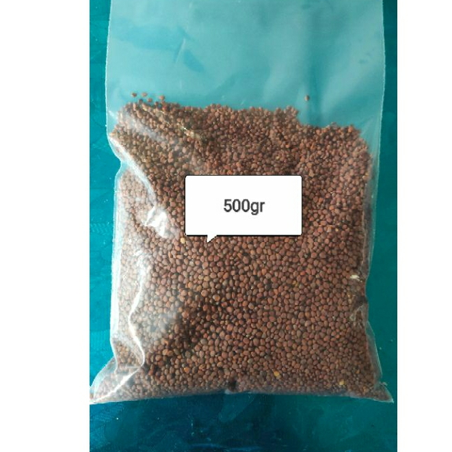 Hạt giống rau mầm củ cải trắng - 500gr (đóng túi zip)