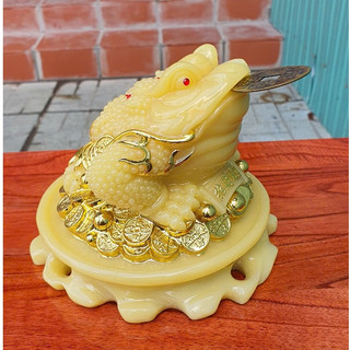 Cóc ngậm tiền vàng đá cao 15cm