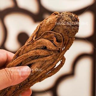 Đương quy 200g, sâm đương quy, củ to, khô, thơm - Lãn Ông