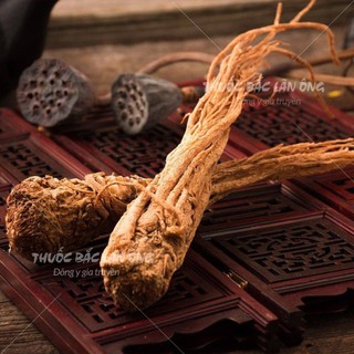 Đương quy 200g, sâm đương quy, củ to, khô, thơm - Lãn Ông