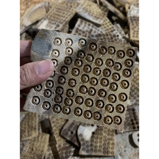100g Hạt Dâu gốc 6 li.