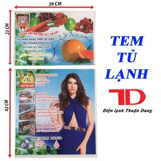 Miếng dán tủ lạnh, tem dán trang trí tủ lạnh mẫu 2
