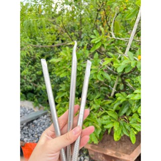 1 Cây Móc lốp xe máy inox lăn nhám phi 12