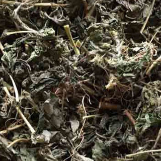 1kg cây cứt lợn khô (hoa ngũ sắc, cây cỏ hôi)