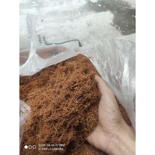 Đất sạch trồng rau, hoa,cây cảnh (10kg/ bao) - lẻ 5kg