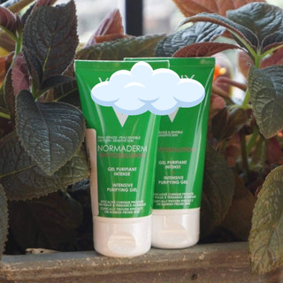 Sữa rửa mặt NORMADERM PHYTOSOLUTION GEL NETOYANT - LAMII BEAUTY
