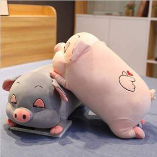 GẤU BÔNG HEO XÁM LÔNG MỊN (50cm)