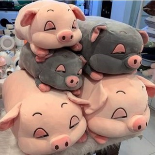 GẤU BÔNG HEO XÁM LÔNG MỊN (50cm)