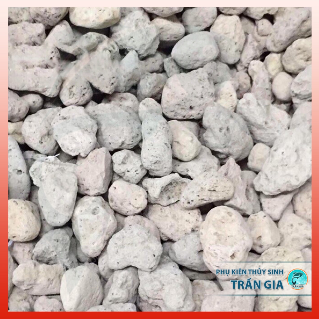 Đá lông vũ lọc nước hồ cá 1kg