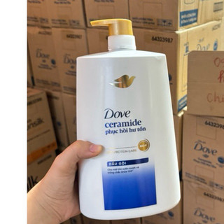 (Mẫu Mới ) Dầu gội dove 1.4kg Phục Hồi Hư Tổn