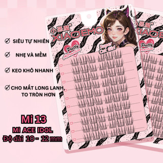 Mi Giả Chùm Tự Nối Tự Nhiên Tái Sử Dụng Nhiều Lần Tgbeauty