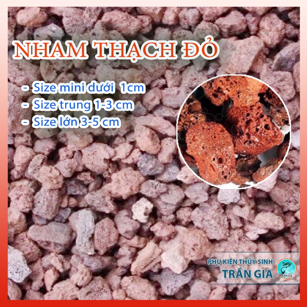 Nham thạch đỏ - Đá núi lửa lọc nước hồ cá Koi  - 1kg
