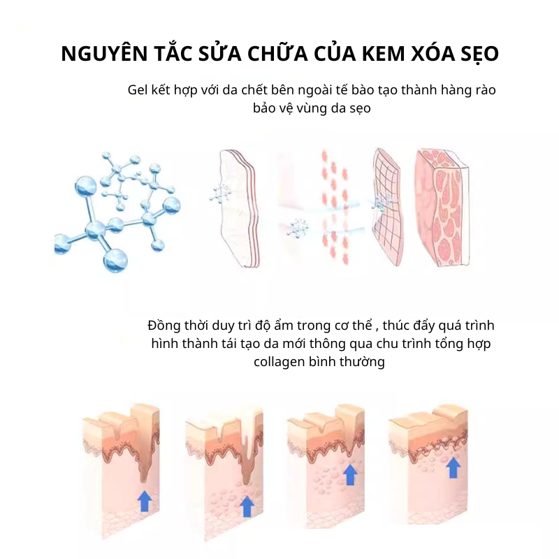 Kem Xóa Sạch Sẹo Thâm, Kem Sẹo ASMOXA lấp đầy Sẹo Rỗ, Sẹo Lõm Phục Hồi Vết Thương Xóa Sẹo Và Phục Hồi Tổn Thương Da 30g