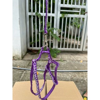 Dây dắt chó mèo dài 1m day kèm vòng cổ