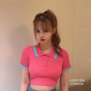 Áo len viền cổ croptop hàng QC