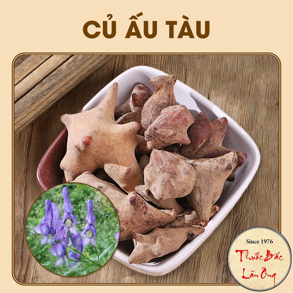 [Hàng Loại I] Củ Ấu Tàu (Gấu Tàu,Ấu Tẩu) 1kg