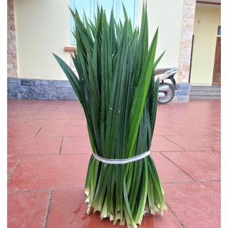 1kg lá nếp thơm
