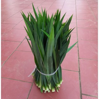 1kg lá nếp thơm