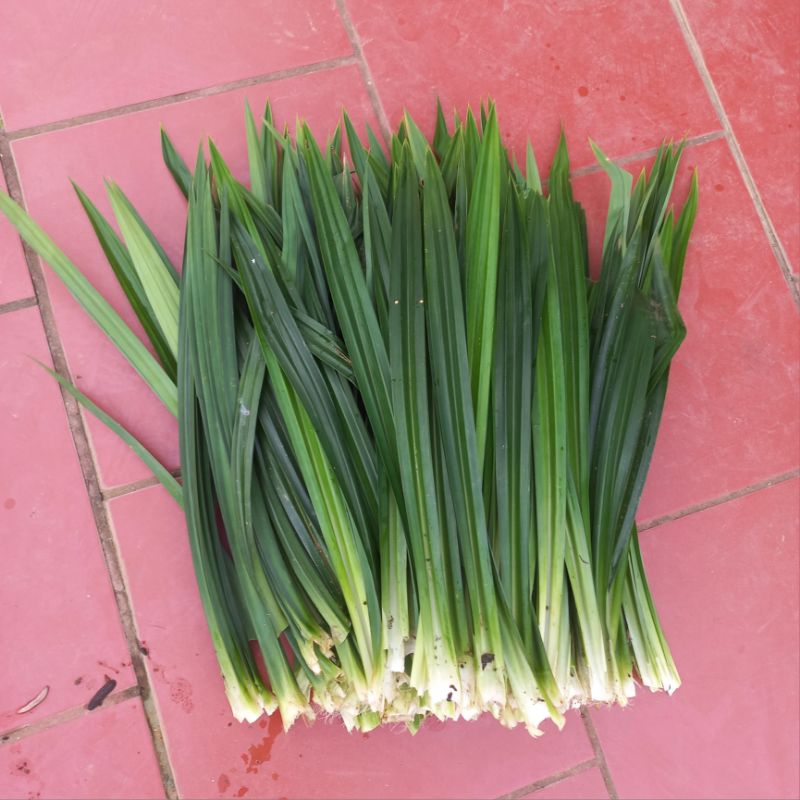 1kg lá nếp thơm