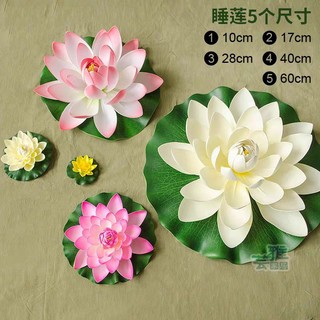 Hoa sen xốp  thả bể nước, hoa thả bát tụ lộc