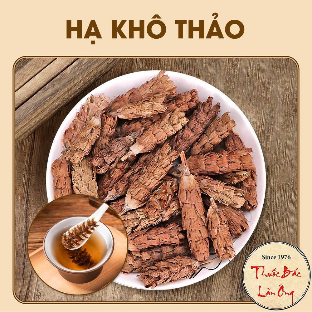 Hạ khô thảo 100g (Hạ cô thảo khô)