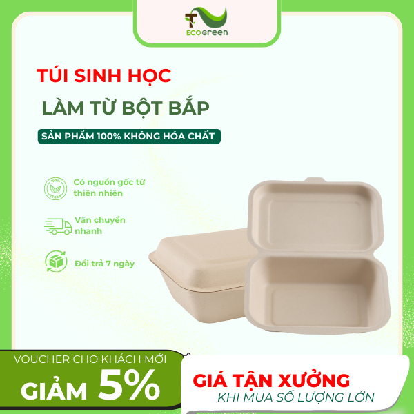 SET 50 Hộp (Khay) Bã Mía 1 Ngăn Nắp Liền ( Đáy Chữ Nhật) Bã Mía Cao Cấp - T2Ecogreen