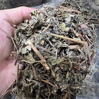 combo 3 gói chè dây khô 3kg