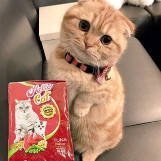 Hạt thức ăn Hello cat cho mèo mọi lứa tuổi gói 400gr