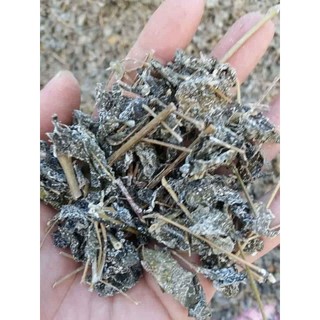 Chè dây 500g cao cấp