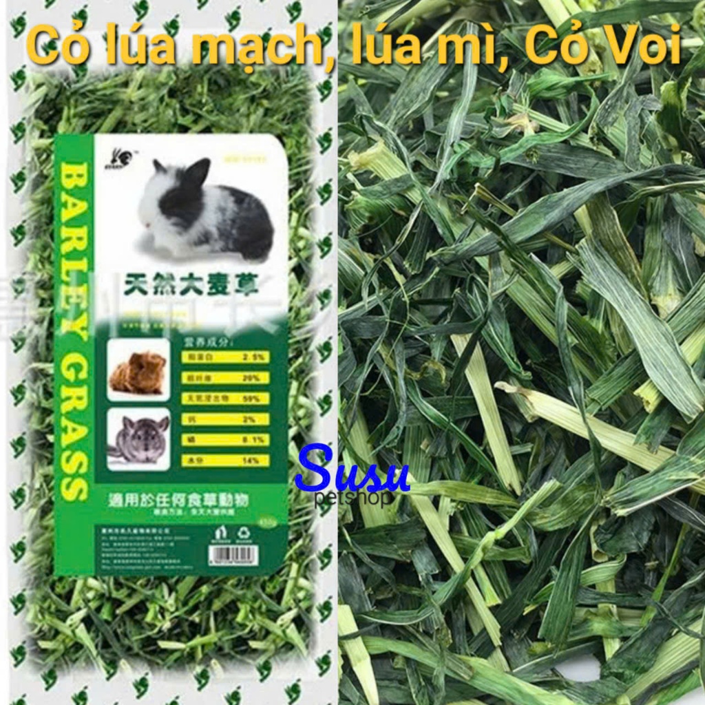 Cỏ lúa Mạch, lúa Mì Kerry cắt khúc Thơm Ngon cho Thỏ, Bọ, Chinchilla
