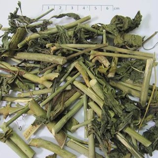 Cây bìm bịp 500g tại hcm