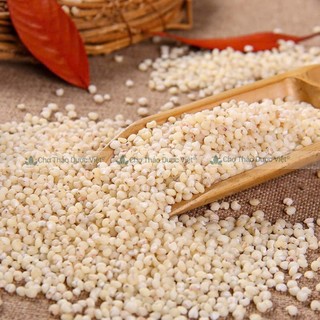 Y dĩ khô 500g, hạt bobo nếp, nguyên liệu hầm gà, nấu cháo, chè, trà lợi sữa sau sinh