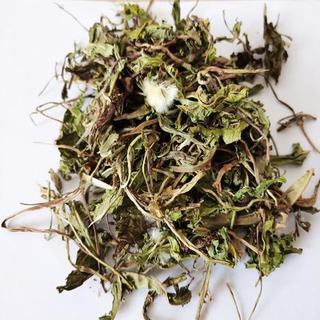 Lá bồ công anh sạch 500g cao cấp