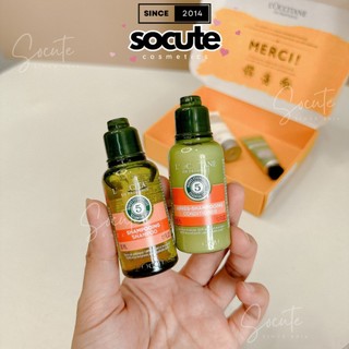 Set Lccitane en PROVENCE Mini 5 Món