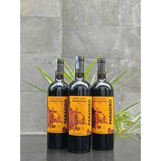 Rượu vang Ý Paradiso Rosso
