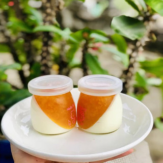 Bột pudding hữu cơ RUF Đức (Date 2026)