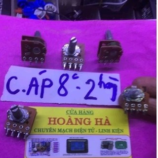 Chiết áp kép 8 chân 2 hàng
