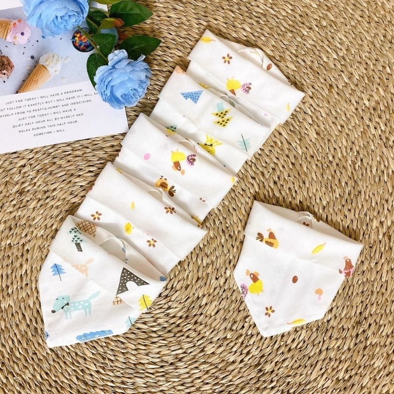 Yếm xô cúc bấm Carter Việt Nam