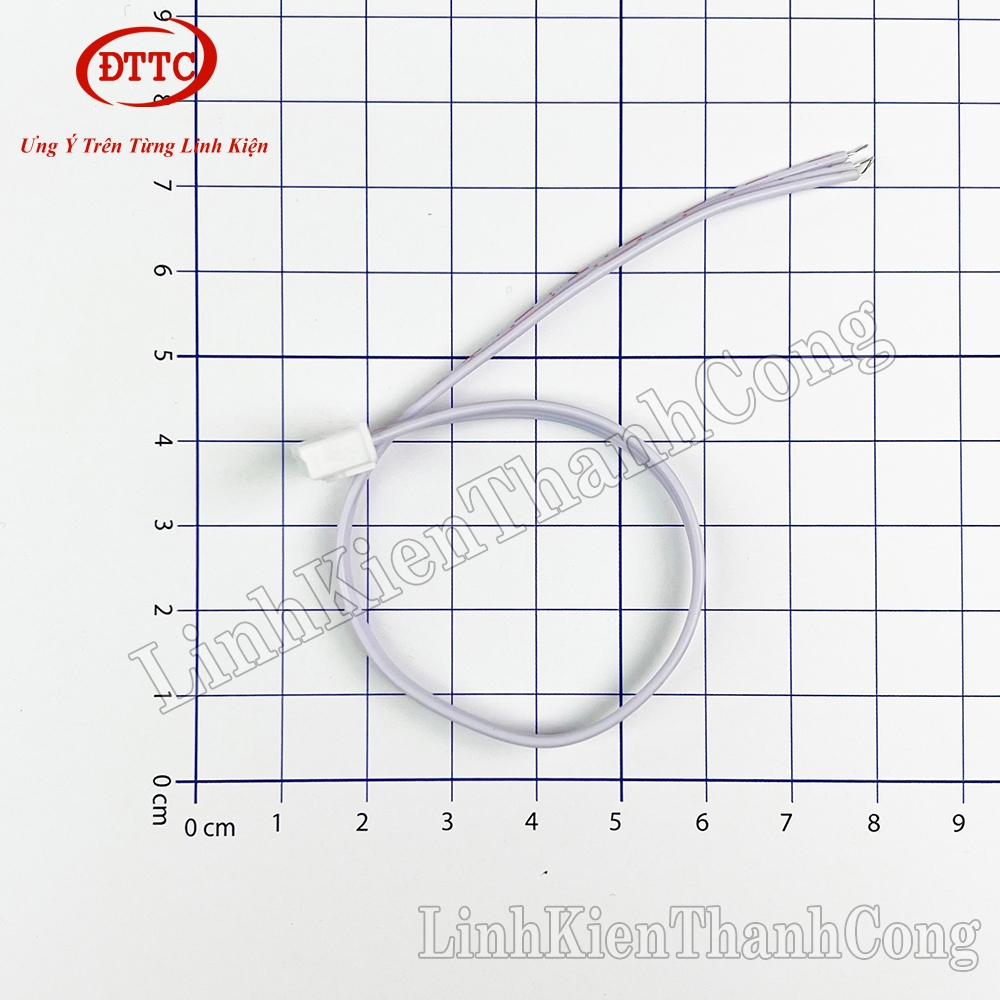 Cáp (Dây Bus) Trắng XH2.54 1 Đầu 20cm 2 Sợi (2P), 3 Sợi (3P)