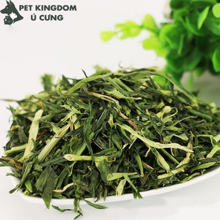  Cỏ Lúa Mạch Cho Guinea pig Chuột Lang Thỏ Bọ 