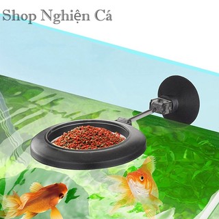 Bộ ống và chén cho cá tép ăn Dụng cụ cho cá ăn