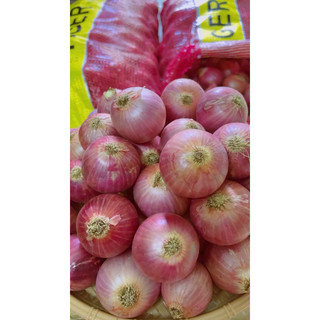 Hành tím ấn độ 0,5-1kg,đã làm sạch(củ to cay nồng).