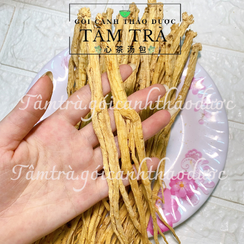Đảng Sâm (Đẳng Sâm) - Tâm Trà Gói Canh Thảo Dược