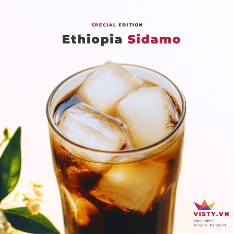 Cà phê Arabica Sidamo G1 dành cho Cold Brew