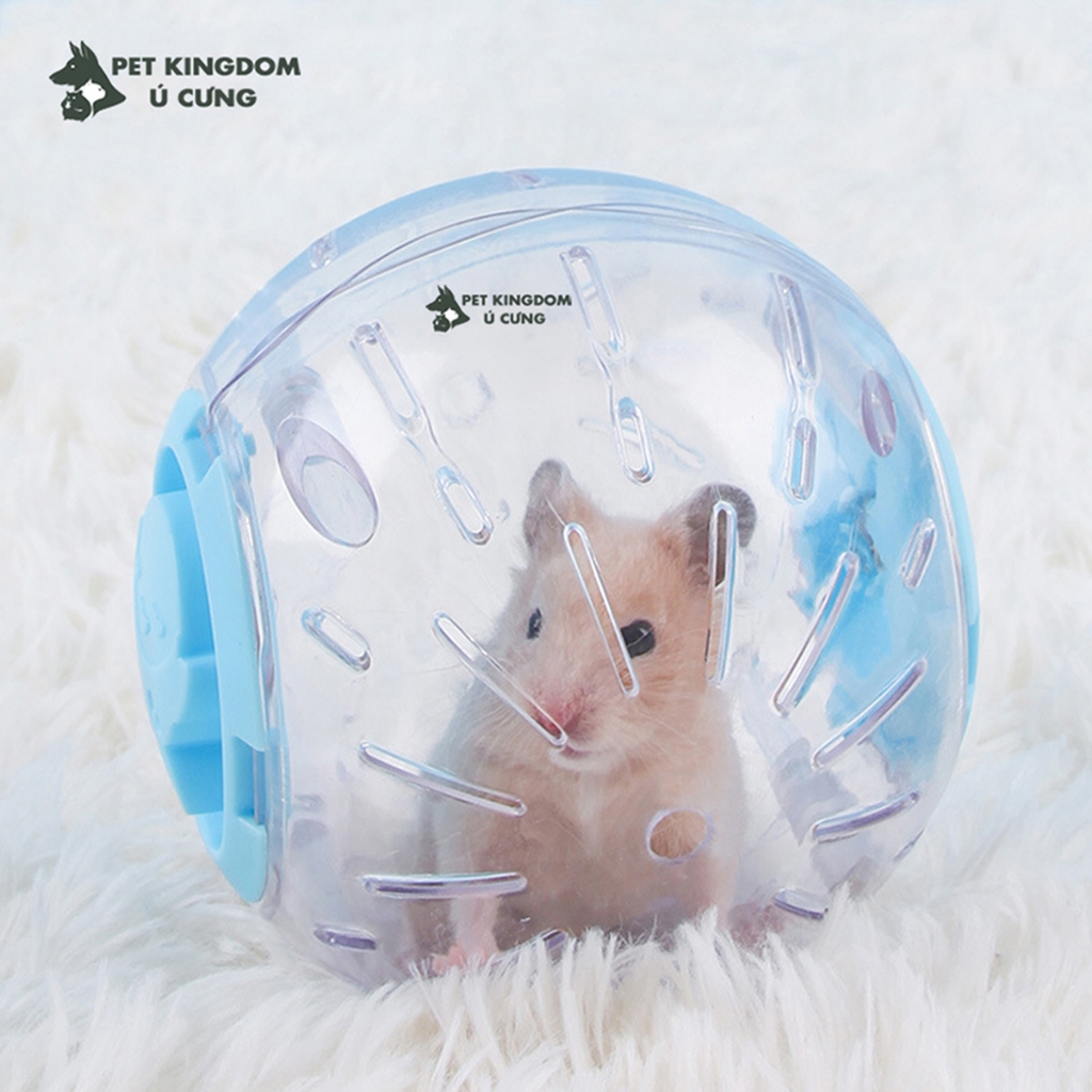 Bóng chạy mica cho hamster