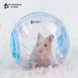  Bóng chạy mica cho hamster 