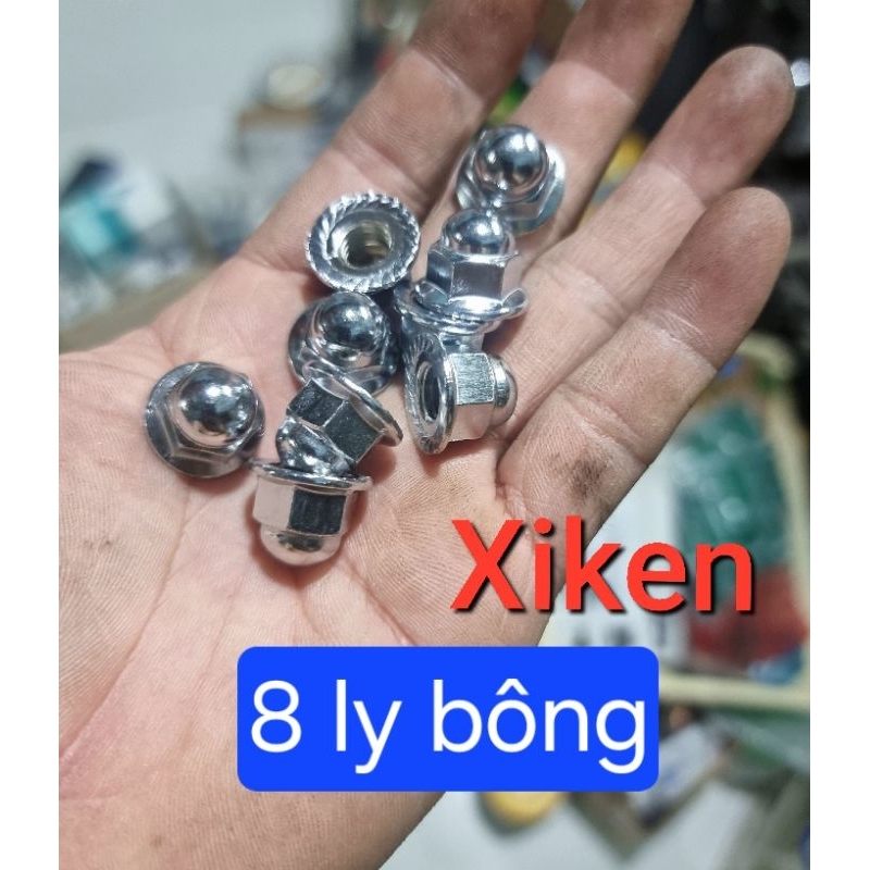 tán đầu chùa 8ly - 10ly (loại tốt) (10 con)
