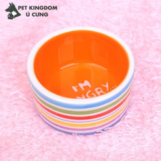  Bát cầu vồng cho hamster và thú cưng nhỏ 